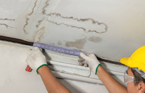 Reliable Mold Remediation contractor in Spencer, TN by Water Damage Irwin